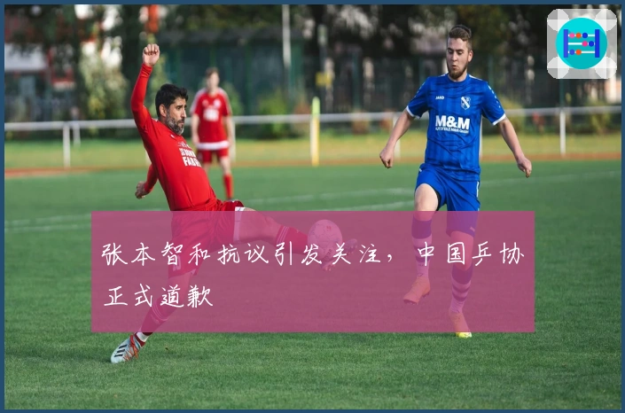 张本智和抗议引发关注，中国乒协正式道歉