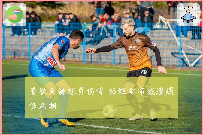 曼联关键球员伤停 诺维奇布城遭遇伤病潮