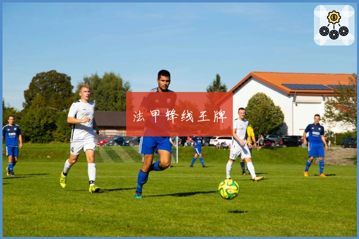 法甲锋线王牌